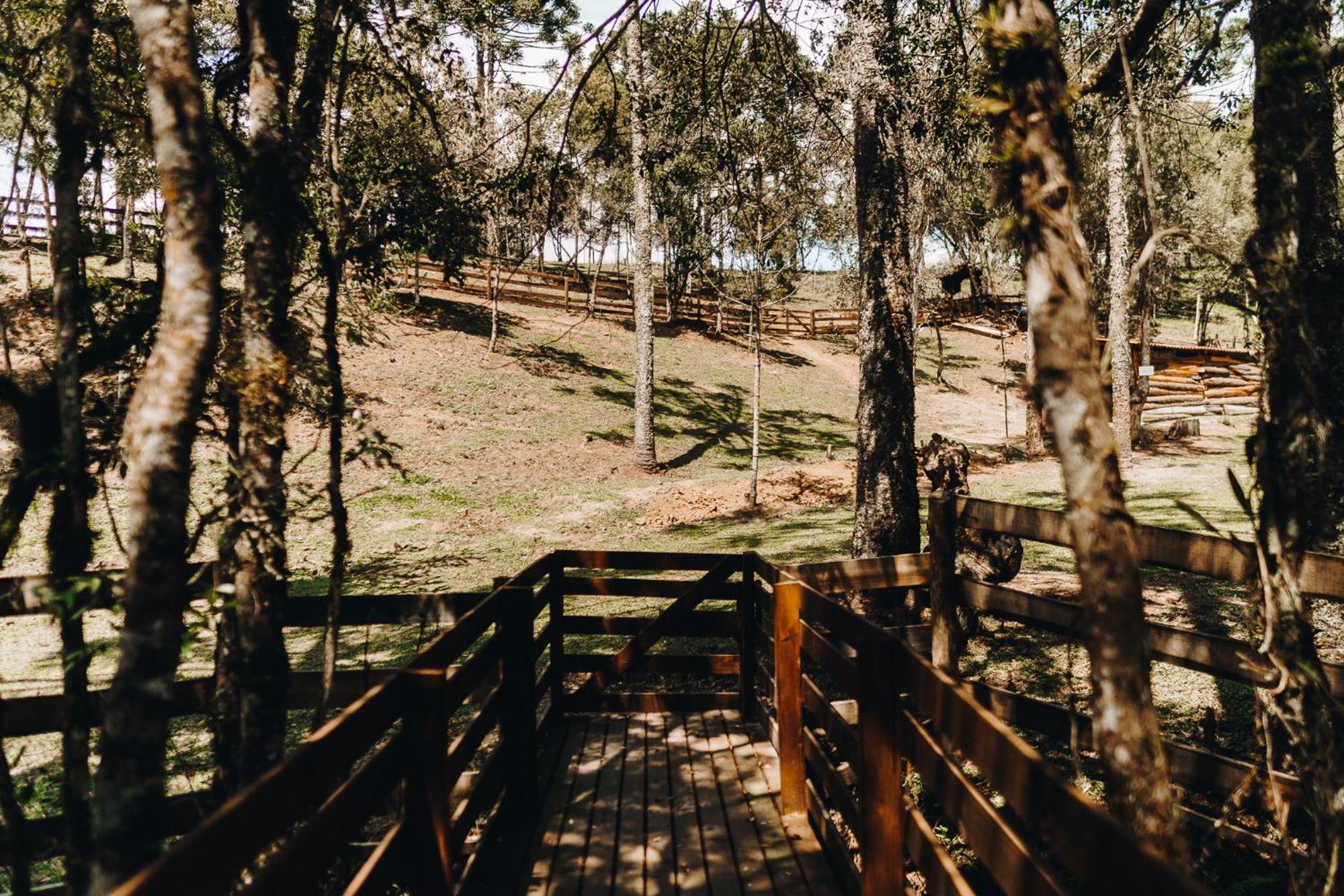 Chale Aconchego - Pousada Cachoeira Da Neve Urubici Luaran gambar
